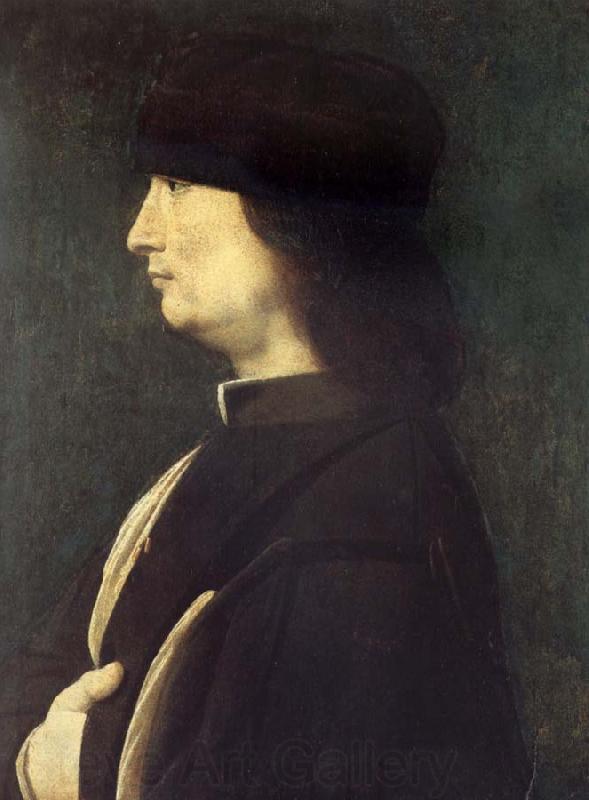 BOLTRAFFIO, Giovanni Antonio Portrait of a Gentleman Germany oil painting art